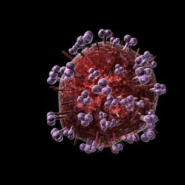 Picture 1 of Secret discovery of natural HIV-resistant cells