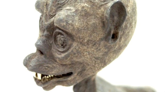 Picture 1 of Secret mummy monkey head, I fish