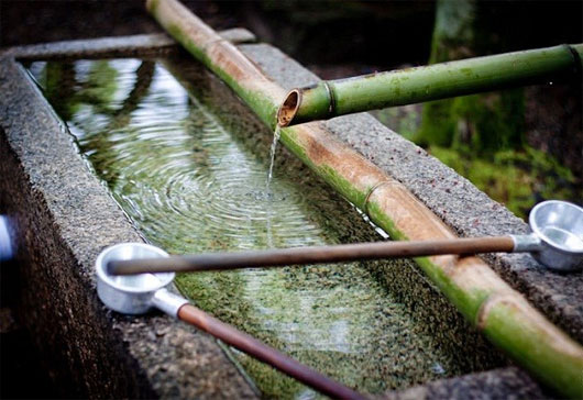 Picture 6 of Secret of cleaning dirty water after flood