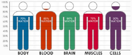 Picture 8 of Secret of cleaning dirty water after flood