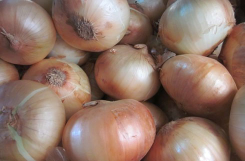 Picture 6 of Secret of identifying Chinese agricultural products