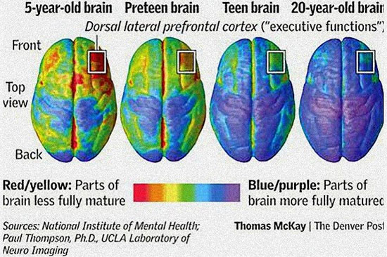 Secret of taking advantage of the 'brain power' of 20 years old images 4