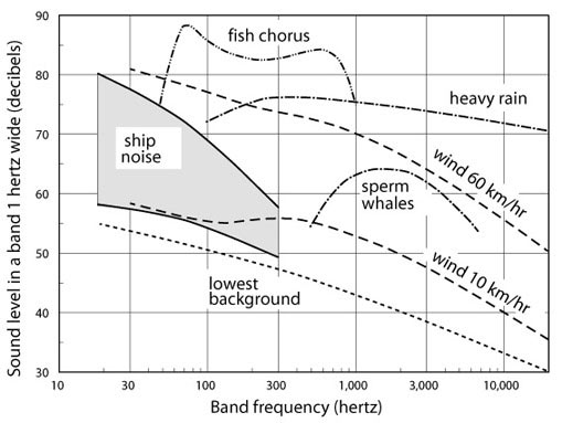 Picture 2 of Secrets of the sea: Sounds and sea creatures