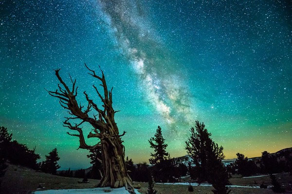 Picture 13 of See 21 photos of the breathtaking night sky