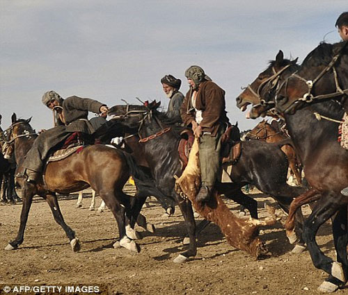 Picture 6 of See camel wrestling