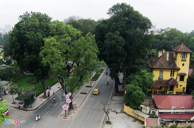 Picture 11 of See green tree-lined streets in Hanoi