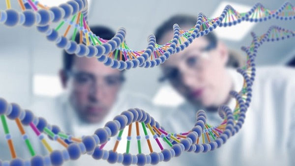Picture 10 of See how experts identify identity of dead people