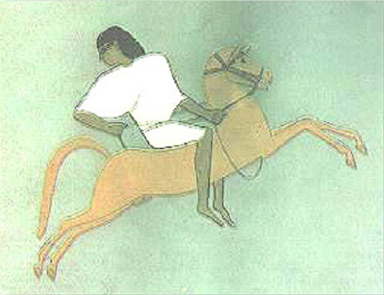 Picture 9 of See how to entertain, play sports in ancient Egypt