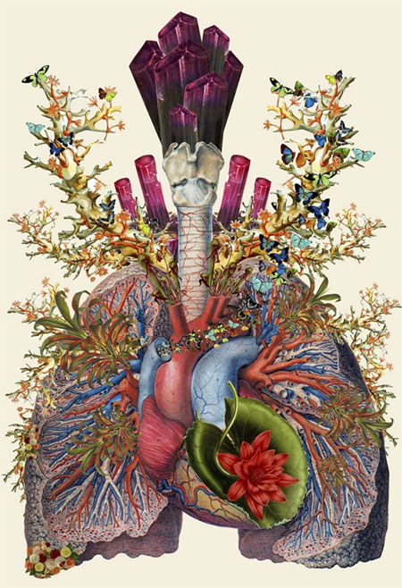 Picture 1 of See human anatomy, through a unique set of floral images