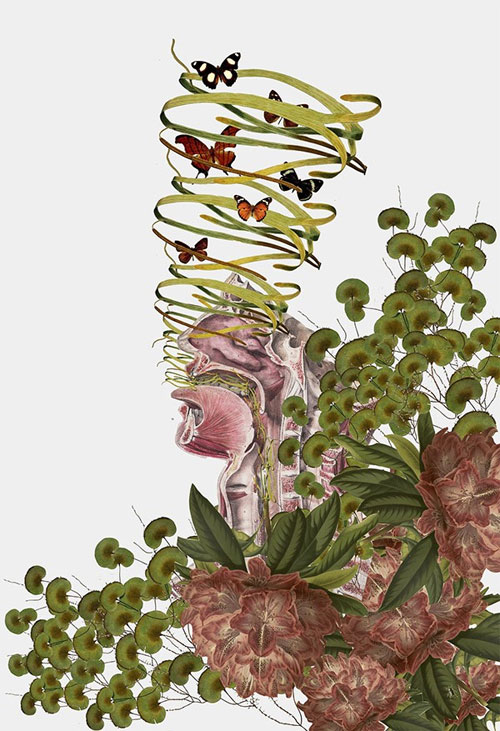 Picture 2 of See human anatomy, through a unique set of floral images