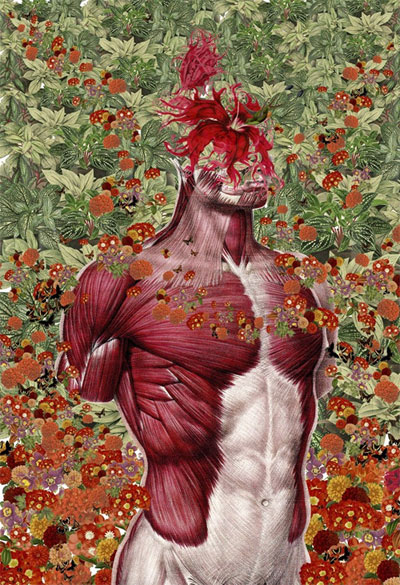 Picture 3 of See human anatomy, through a unique set of floral images