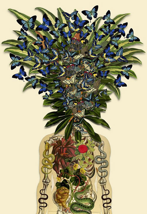 Picture 6 of See human anatomy, through a unique set of floral images