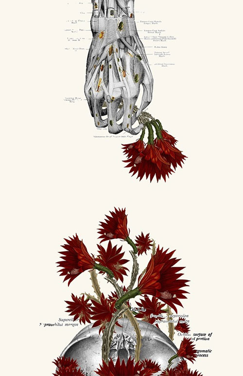 Picture 8 of See human anatomy, through a unique set of floral images