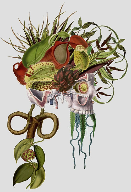 Picture 9 of See human anatomy, through a unique set of floral images