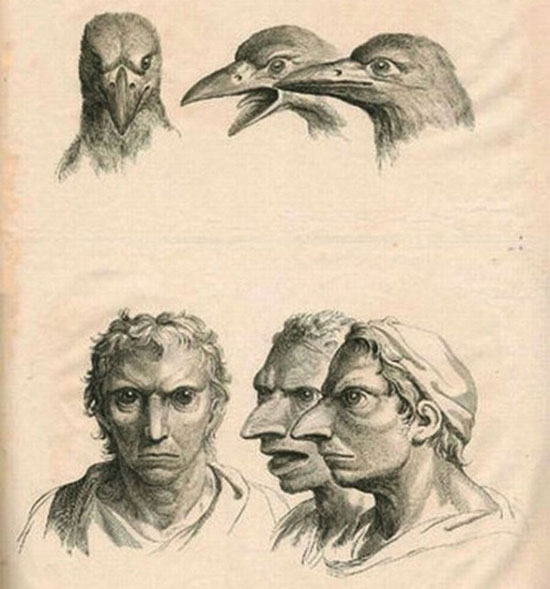 Picture 7 of See 'human beauty' if evolved from pigs, cows and bears