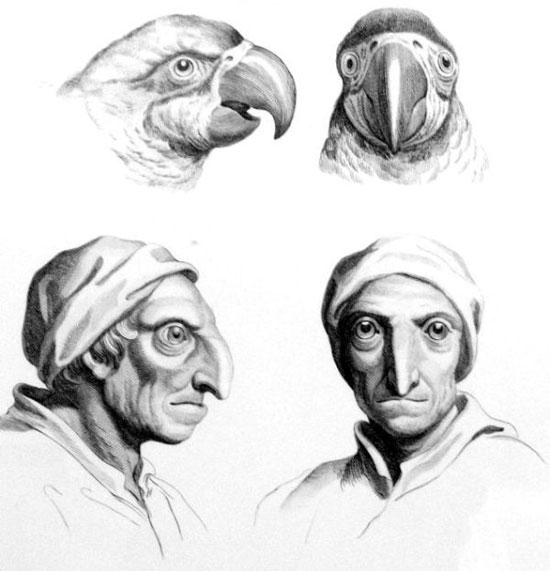 Picture 9 of See 'human beauty' if evolved from pigs, cows and bears