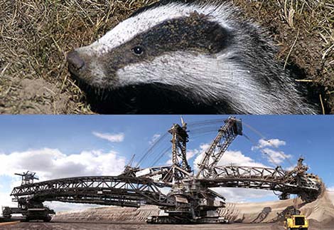 Picture 7 of See people 'versus' animals