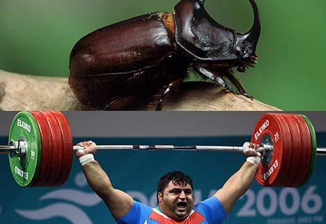 Picture 8 of See people 'versus' animals