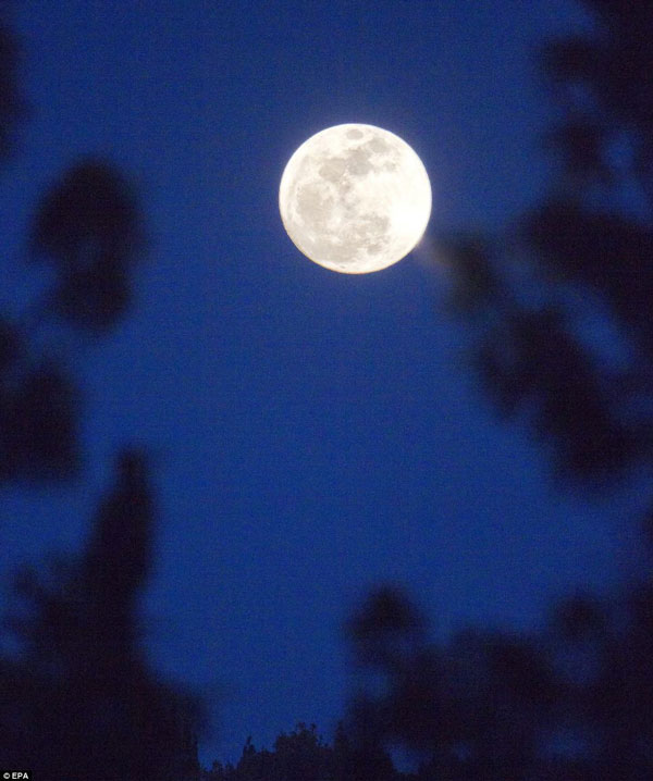 Picture 12 of See 'super moon' all over the world