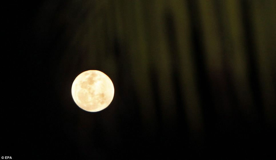 Picture 9 of See 'super moon' all over the world