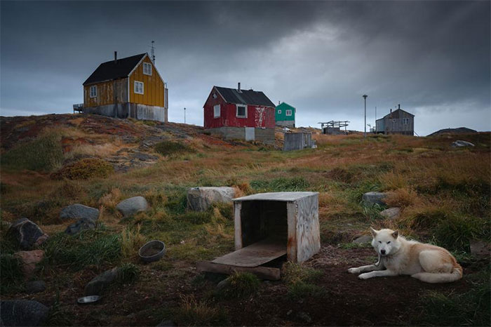 Picture 14 of See the beautiful Greenland, but it can soon be lost forever