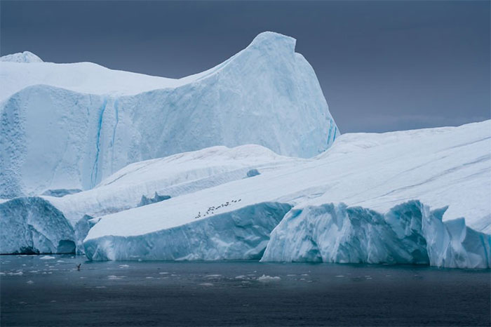 Picture 17 of See the beautiful Greenland, but it can soon be lost forever