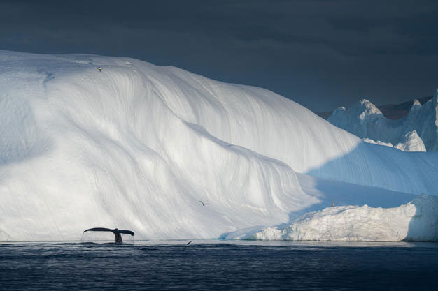 Picture 2 of See the beautiful Greenland, but it can soon be lost forever