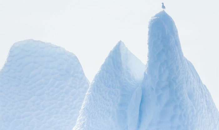 Picture 4 of See the beautiful Greenland, but it can soon be lost forever