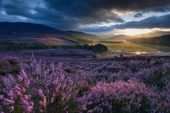 Picture 7 of See the beautiful nature peaceful on Earth Day