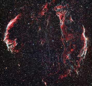 Picture 8 of See the beauty of the galaxy from the garden