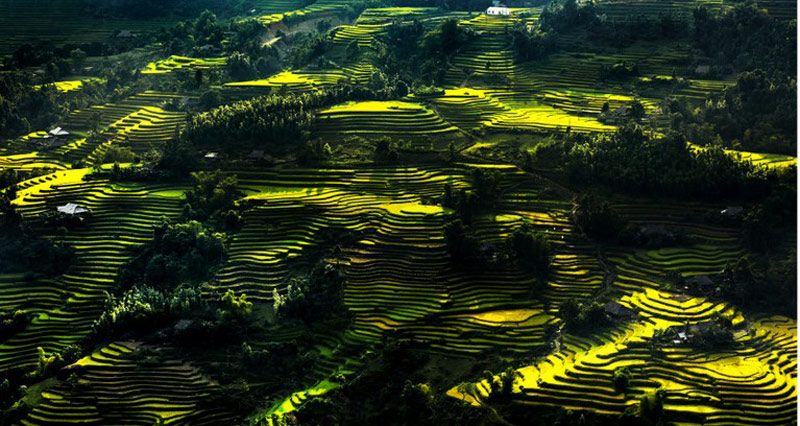 Picture 10 of See the beauty of the land and the Hoang Su Phi people