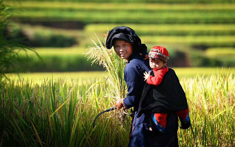 Picture 12 of See the beauty of the land and the Hoang Su Phi people