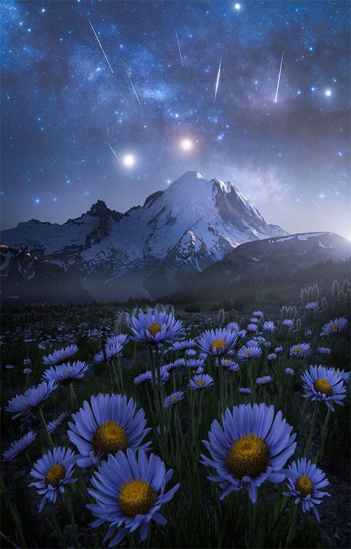 Picture 7 of See the fantasy night under the talented hands of Canadian photographer