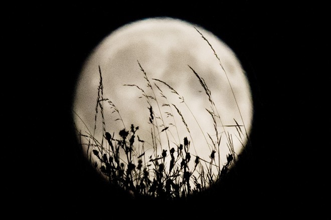Picture 9 of See the first super moon of autumn 2015