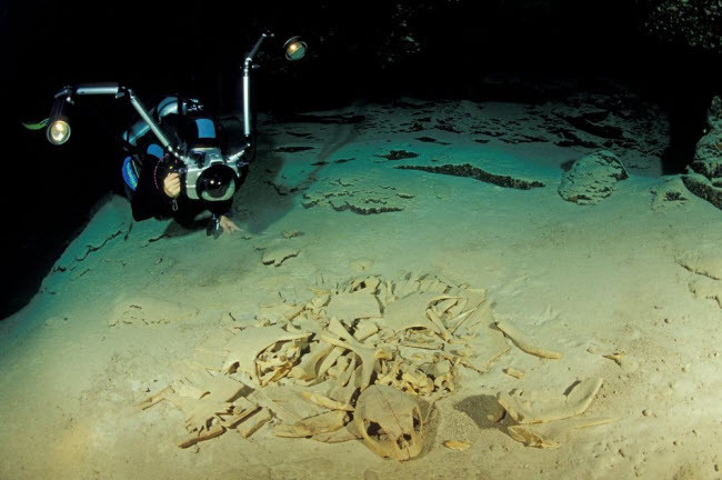 Picture 1 of See the graveyard of turtles in the mysterious sea cave