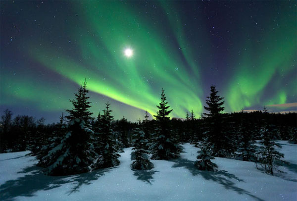 Picture 13 of See the picturesque forest