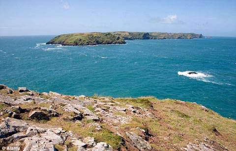 Picture 11 of See the wonderful world at the bottom of the British ocean