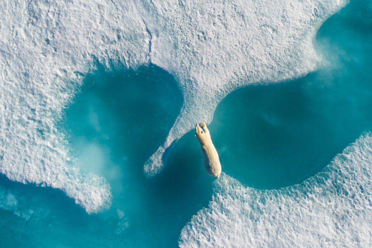 Picture 4 of See the world in 2017 with a different and beautiful atmosphere from above