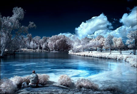 Picture 11 of See the world through infrared filters
