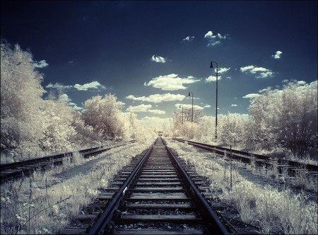 Picture 12 of See the world through infrared filters
