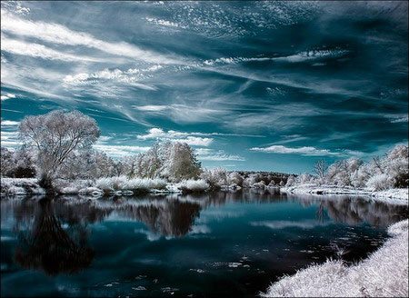 Picture 7 of See the world through infrared filters