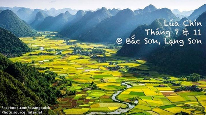 Picture 18 of See this set of photos you will see Vietnam has beautiful seasons of rice and flowers!