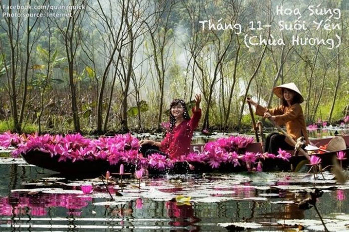 Picture 29 of See this set of photos you will see Vietnam has beautiful seasons of rice and flowers!