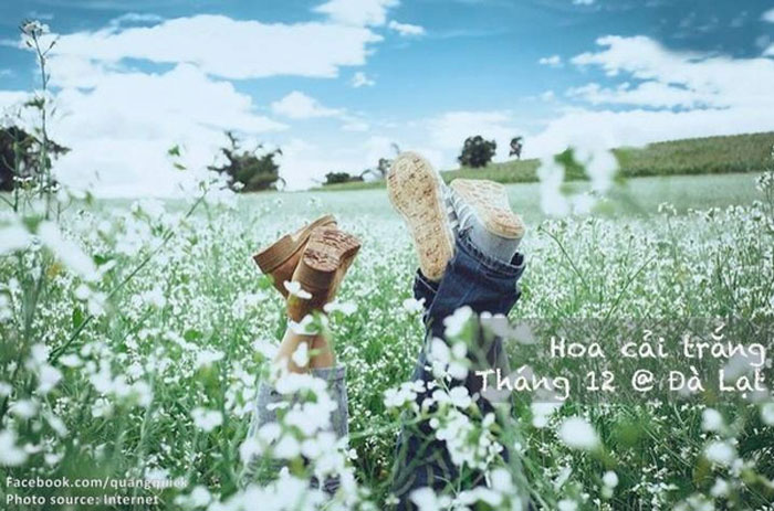 Picture 34 of See this set of photos you will see Vietnam has beautiful seasons of rice and flowers!
