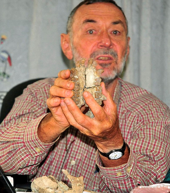 Picture 3 of Seeing a gibbon skull fossil dating from 20 million years