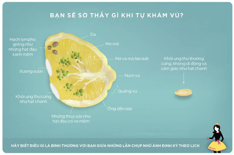 Picture 1 of Self-check for signs of breast cancer through sliced ​​images of lemon