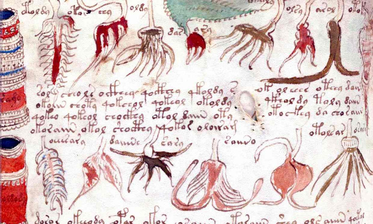 Picture 1 of Sell ​​one of the most mysterious books in the world