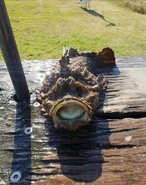 Picture 1 of Sentence is frightening, teenagers find out the horrifying truth