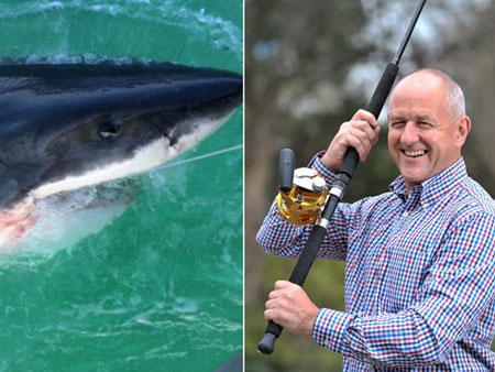Picture 2 of Sentences are sharks that weigh a record of 2 tons