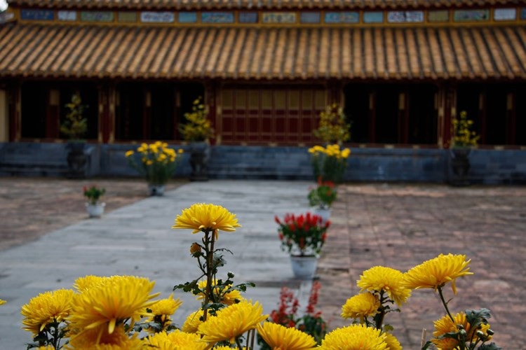 Picture 9 of Set of beautiful Vietnamese New Year photos of Indian female photographers